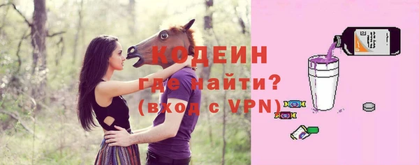 ПСИЛОЦИБИНОВЫЕ ГРИБЫ Арсеньев