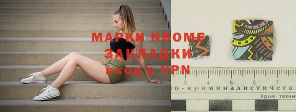 ПСИЛОЦИБИНОВЫЕ ГРИБЫ Арсеньев