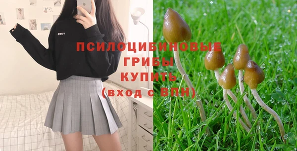 хмурый Баксан